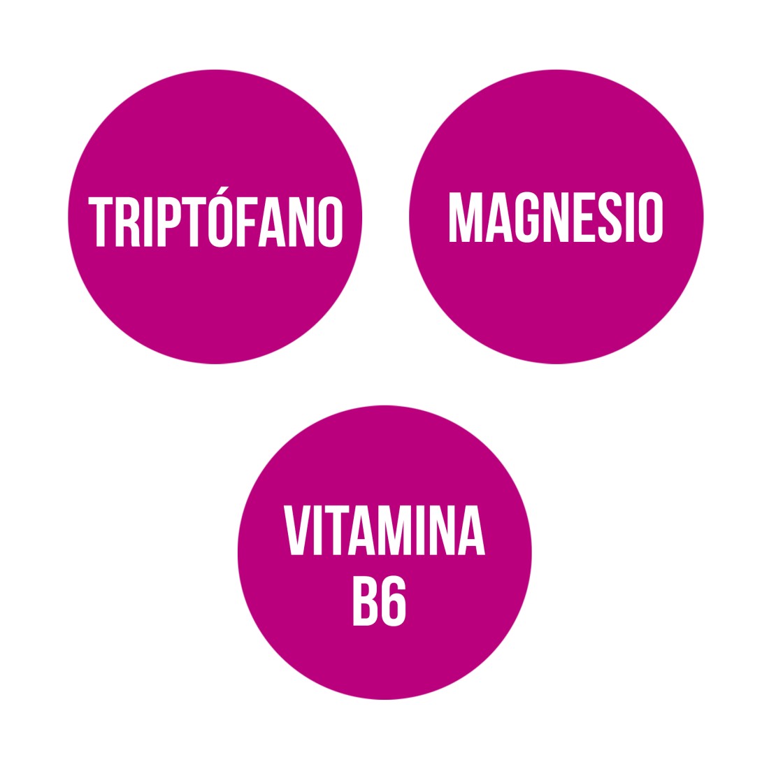 TRIPTOFANO CON MAGNESIO VITAMINA B6 60 Comp