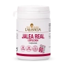 Jalea Real Liofilizada – 60 cápsulas