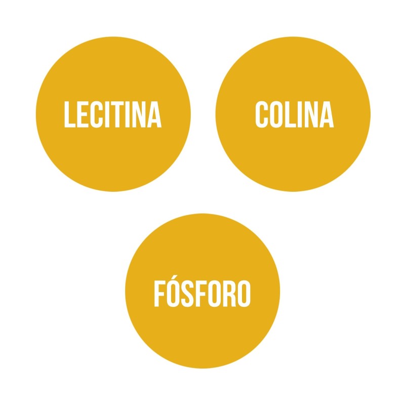 SOY LECITHIN (90 Pearls)