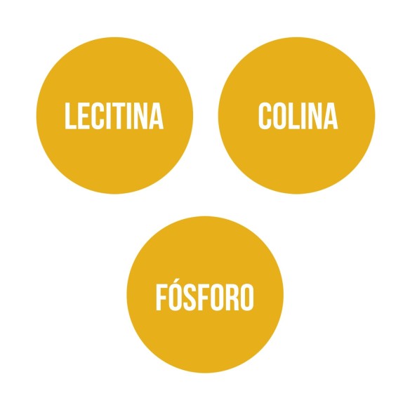 SOY LECITHIN (90 Pearls)