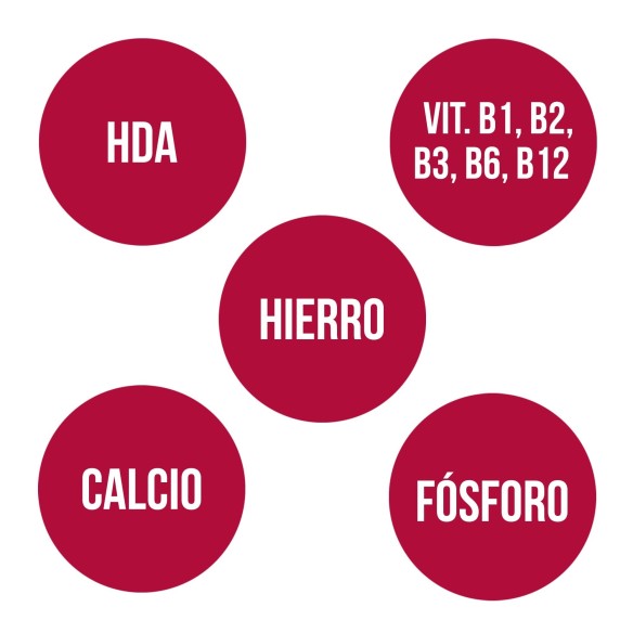 JALEA REAL CON MIEL (135 gr)