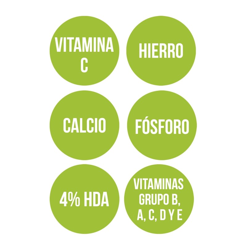 JALEA REAL CON VITAMINA C (60 cap.)