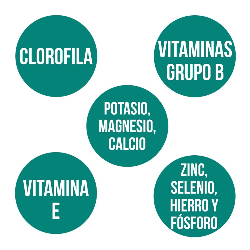 ESPIRULINA (160 comp.)