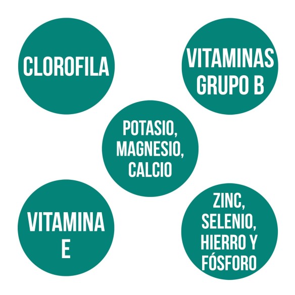 ESPIRULINA (160 comp.)