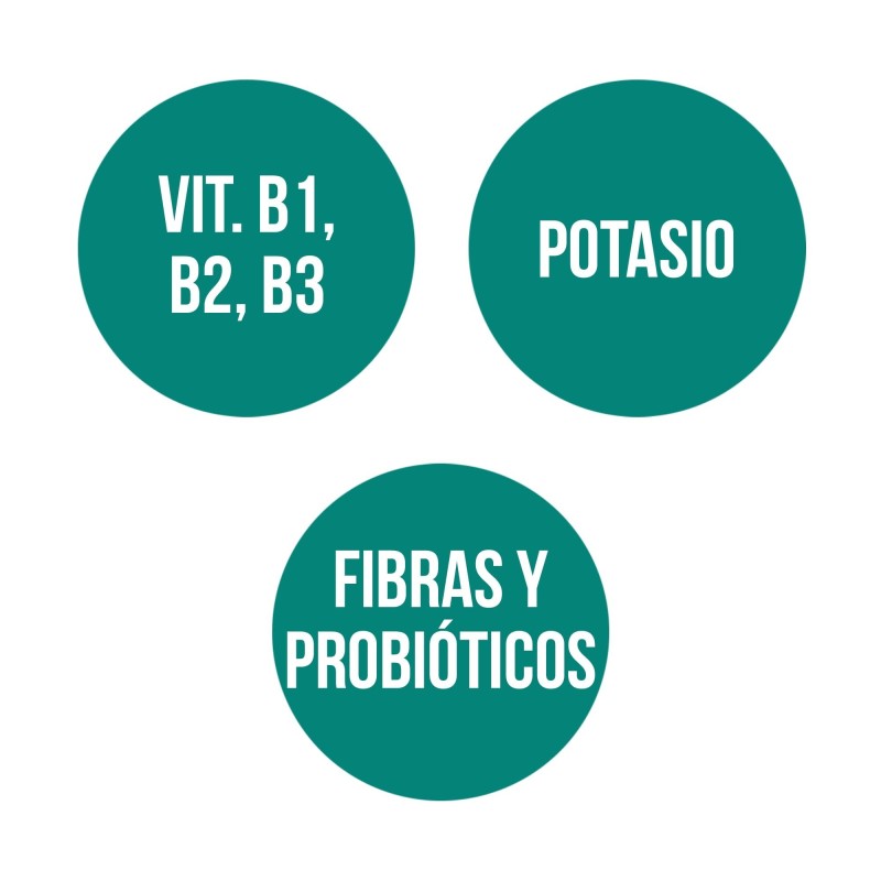 LEVADURA DE CERVEZA (80 comp.)