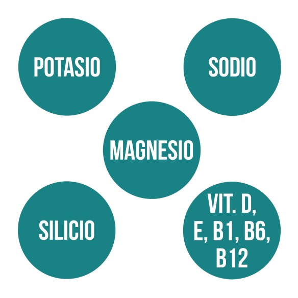 MINERAL SALTS (25 caps.) - Isotonics AMLSPORT