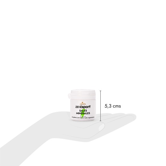 SALES MINERALES (25 caps.) - Isotónicas AMLSPORT